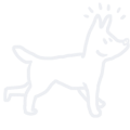 Chiens à adopter